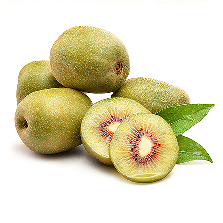 开云电竞在线产品中心八